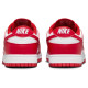Nike Dunk Low Next Nature W